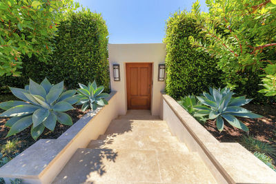 Potted plant outside house in yard of building