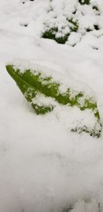Close-up of snow covered land