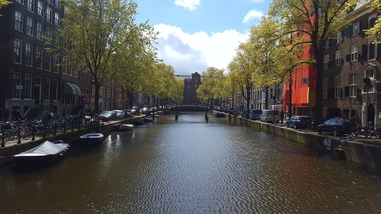 CANAL AMIDST TREES IN CITY