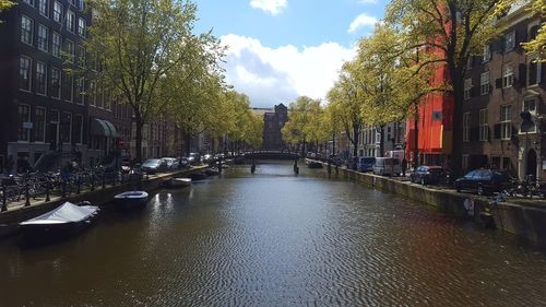 Canal amidst trees against sky in city