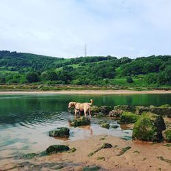 Scenic view of lake against sky