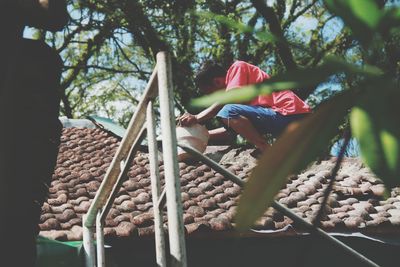 Low angle view of person on hammock