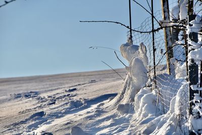 Close-up of snow