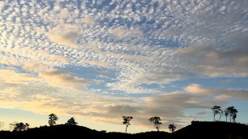 Low angle view of silhouette trees against sky