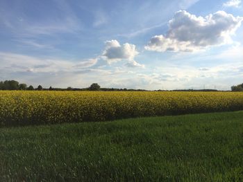 Scenic view of field against cloudy sky