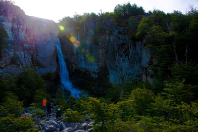 Scenic view of waterfall in forest