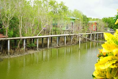 Bridge over river by trees against sky