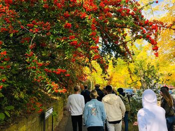 Rear view of people walking on footpath by plants during autumn