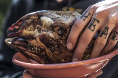 Cropped image of hand with tattoo touching animal head in bowl