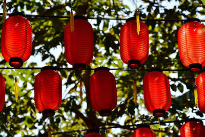 Red lanterns hanging in the temple