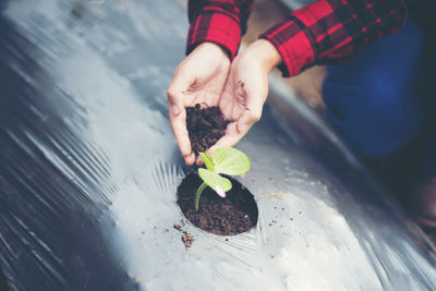 Close-up of woman hand gardening