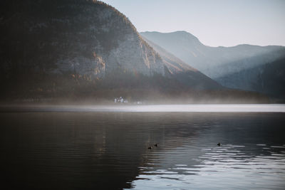 Swan swimming in lake against mountains