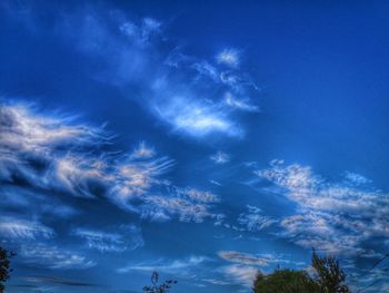Low angle view of trees against blue sky