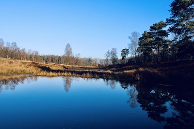 Scenic view of lake against clear blue sky