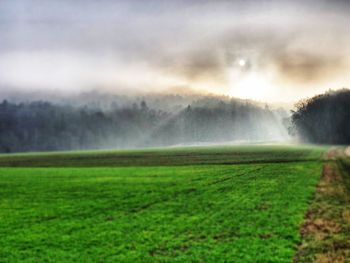 Scenic view of agricultural field against sky