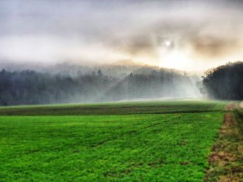 Scenic view of agricultural field against sky