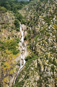High angle view of waterfall along trees