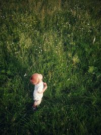 Cute boy in grass at sunset