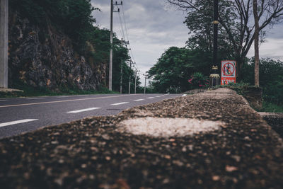 Road sign by trees