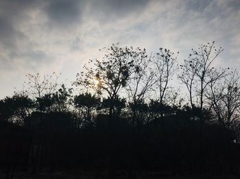 Low angle view of silhouette trees against sky during sunset