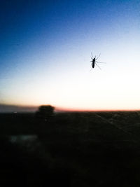 Silhouette of two people in the sky