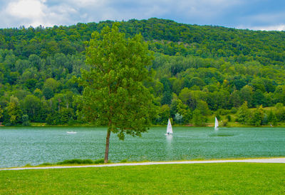 Scenic view of lake by trees against sky