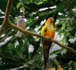 Bird perching on branch