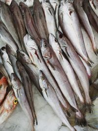 Full frame shot of fish for sale in market