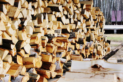 Stack of wooden logs in forest