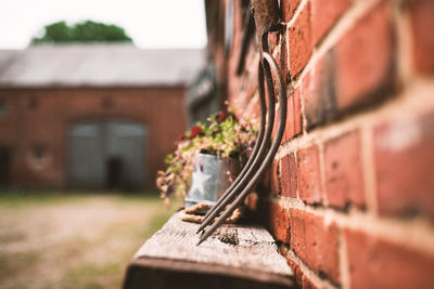 Close-up of rusty metal on wall against building