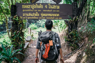 Rear view of man and woman standing in forest