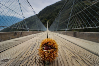 Marking the beginning of autumn