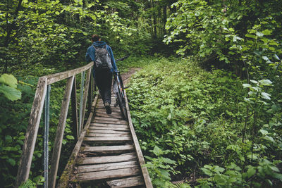 Rear view of man standing on footbridge in forest