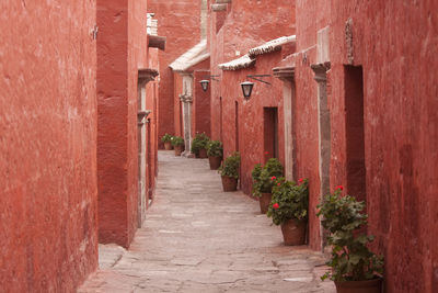 Narrow alley amidst buildings