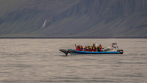 Whale watching during a brief icelandic summer near husavik very close or near-miss