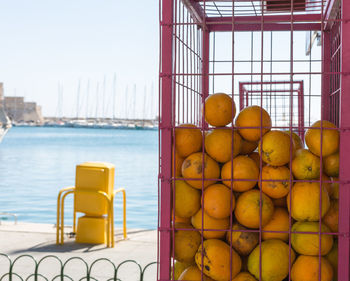 Close-up of oranges in metal crate by sea