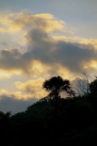 Low angle view of silhouette palm trees against sky during sunset