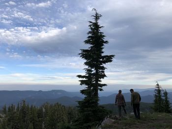 Rear view of man standing by tree against sky