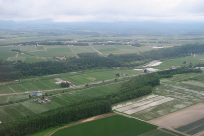 Aerial view of agricultural landscape