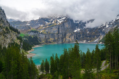 Panoramic view of pine trees and mountains against sky