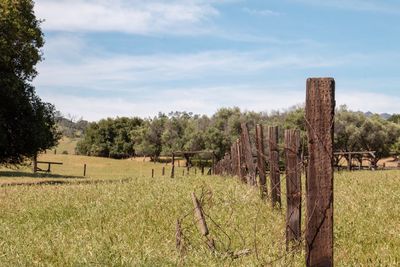 Wooden fence on field against sky