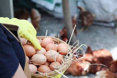 Close-up of eggs in container