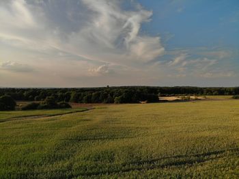 Scenic view of agricultural field against sky