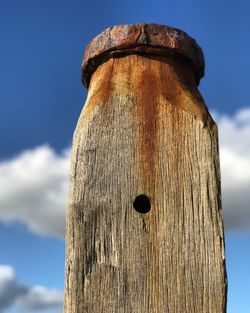 Low angle view of giraffe against clear sky