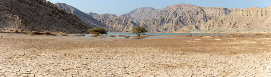 Scenic view of desert