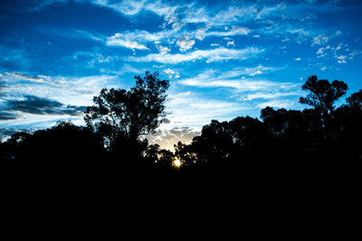 Silhouette trees in forest against sky at sunset