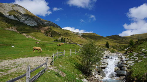 Scenic view of green landscape against sky