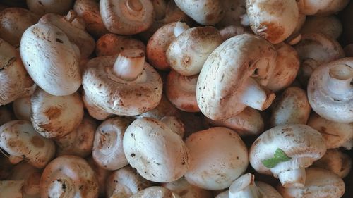 Full frame shot of chopped mushrooms for sale