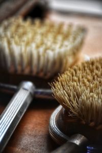 Vintage brushes 