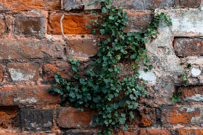 Full frame shot of stone wall